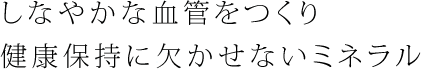 しなやかな血管をつくり健康保持に欠かせないミネラル